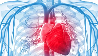 攜康·智能心腦血管疾病防治解決方案：助力基層公衛(wèi)慢病管理