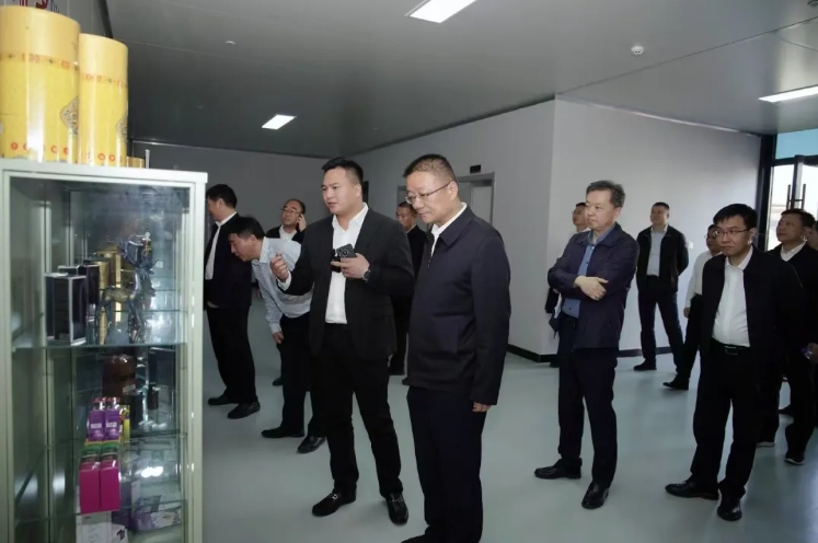 湖北省黃石市委副書(shū)記、市長(zhǎng)吳之凌率隊(duì)調(diào)研攜康產(chǎn)業(yè)園