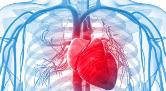 1650354569341056.png 攜康·智能心腦血管疾病防治解決方案